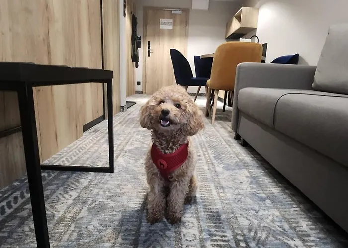 Bliżej Chmur Szklarska Poręba-zloty Horyzont *